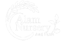 Alam Nursery And Farm
